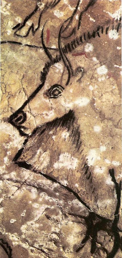 Niaux: Bizon namalovan piblin 14 000 p. n. l. 