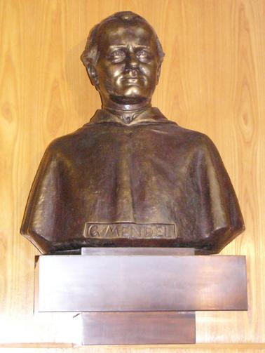 Gregor Johann Mendel  busta v aule Mendelovy zemdlsk a lesnick univerzity v Brn